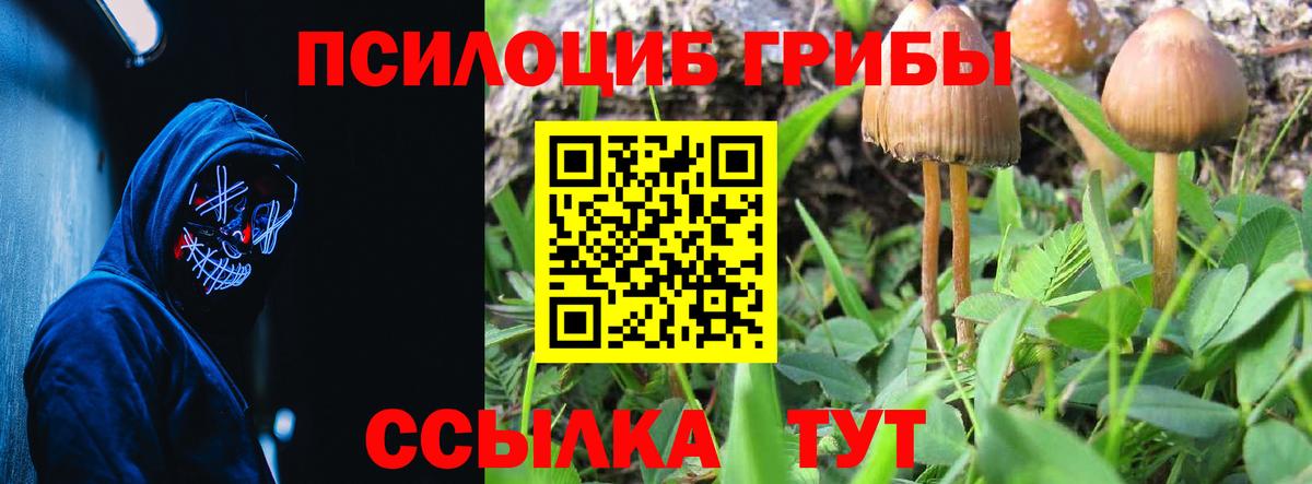Галлюциногенные грибы Magic Shrooms  Псилоцибиновые грибы GOLDEN TEACHER  Кудрово  Вход с VPN 